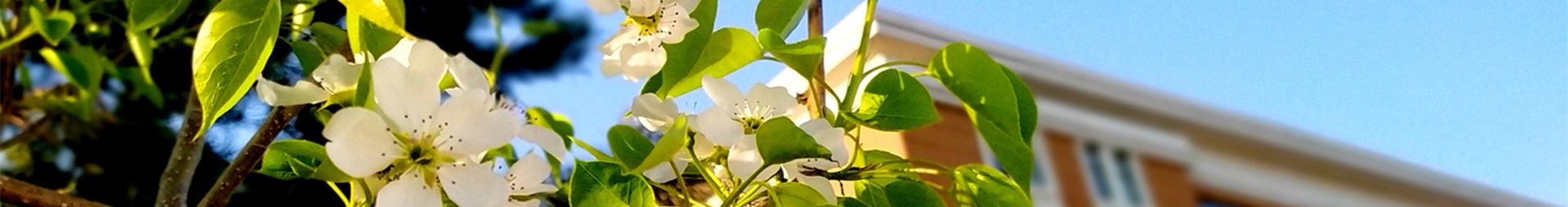 雷火竞技电竞网站